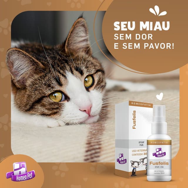 Desobstrução urinária de um gatinho com Fusfelis