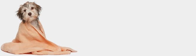 Em tempos de crise hídrica: banho a seco no seu PET