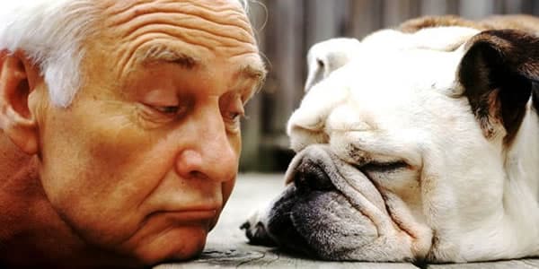Cães fazem bem para a saúde dos idosos