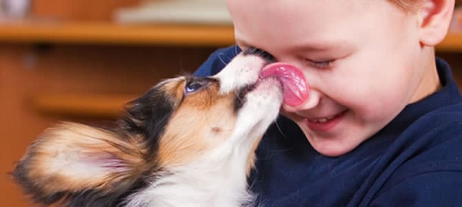Lambida de cachorro é sinal de afeto?