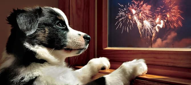 Uma cidade italiana que só faz festa com fogos de artifícios silenciosos. Descubra porquê!