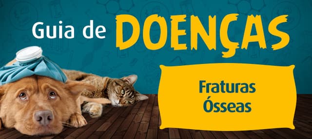 Fraturas ósseas em cães e gatos