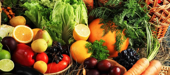 10 frutas e legumes que cachorros podem comer