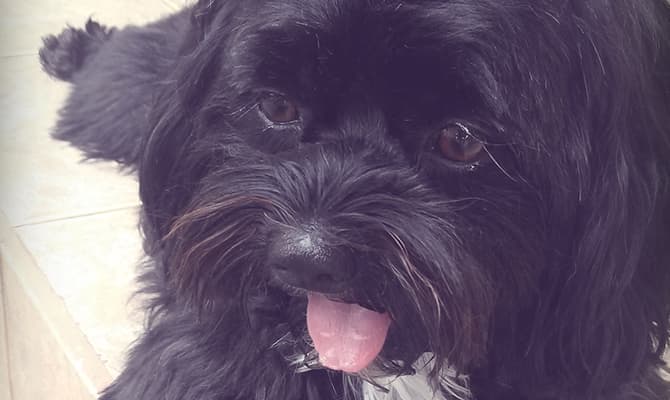 Xô dermatite! Conheça o caso de sucesso do Nino