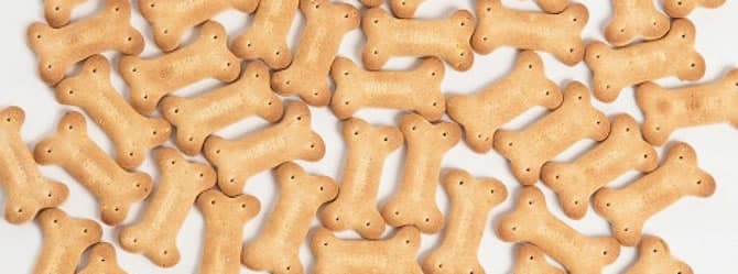 Saiba o porque maneirar ao dar petiscos aos seus pets