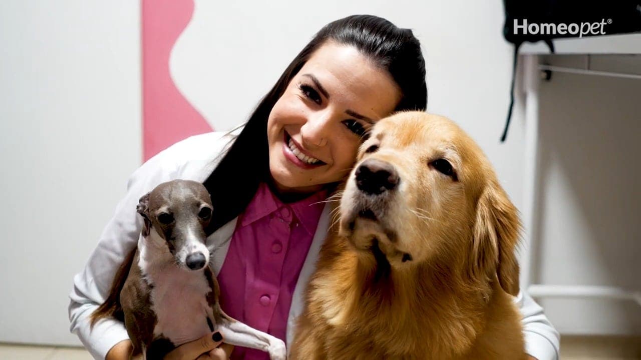 Pomada CMR acelera recuperação de cão com lesões graves