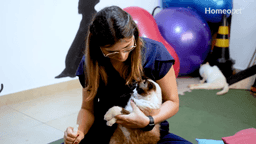 Frederico e a volta por cima: como a homeopatia transformou a vida de um gato idoso e diabético