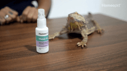 Homeopatia em emergências veterinárias: evidências clínicas e resultados práticos