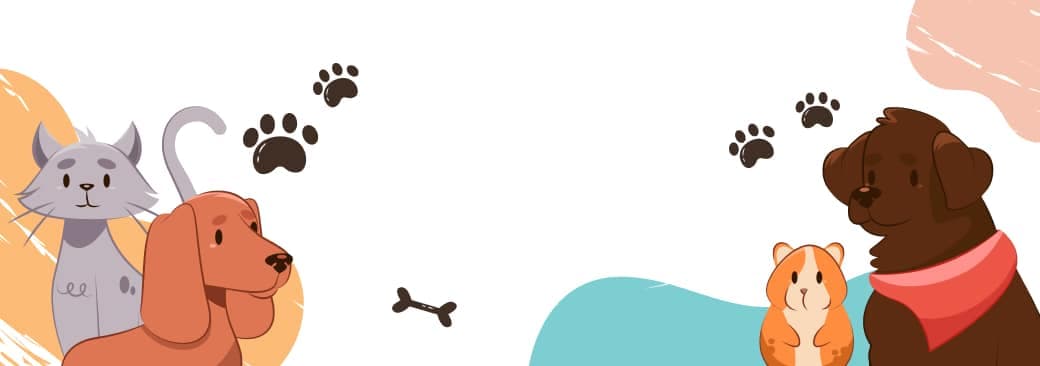 Perguntas Frequentes