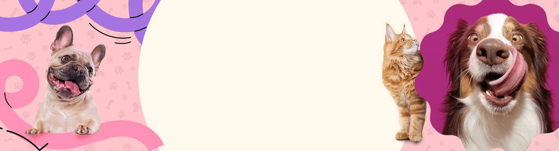 Cuidado de verdade para o seu pet