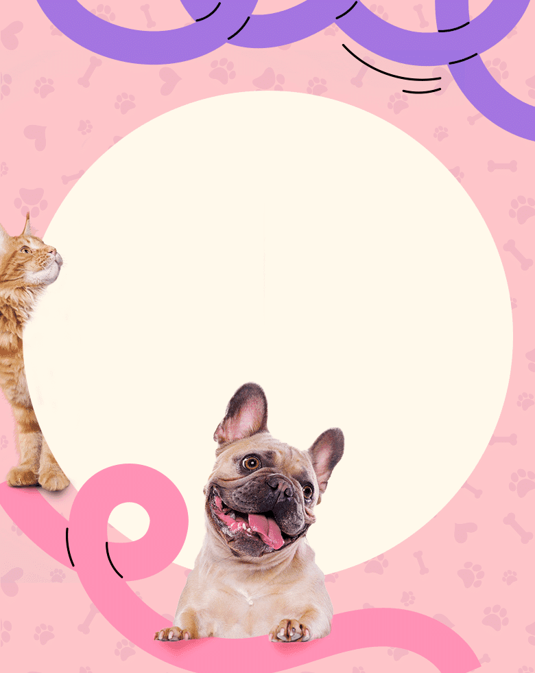 Cuidado de verdade para o seu pet