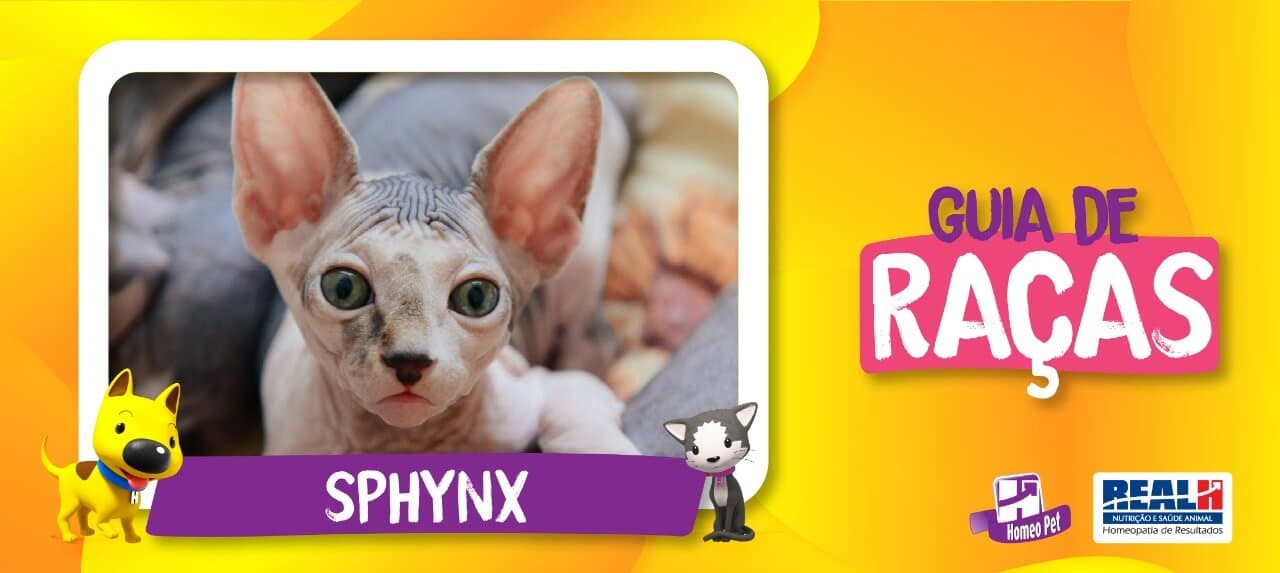 SPHYNX