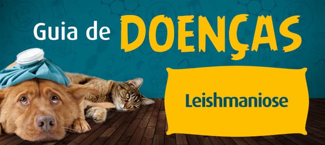 Leishmaniose: Guia de Doenças