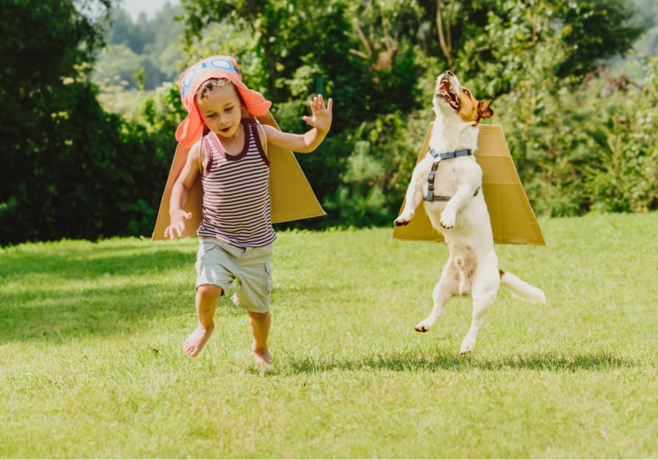 Imunidade: qual a importância para a saúde do animal?