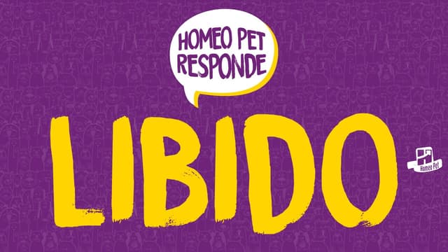 Como estimular a libido em cães e gatos?