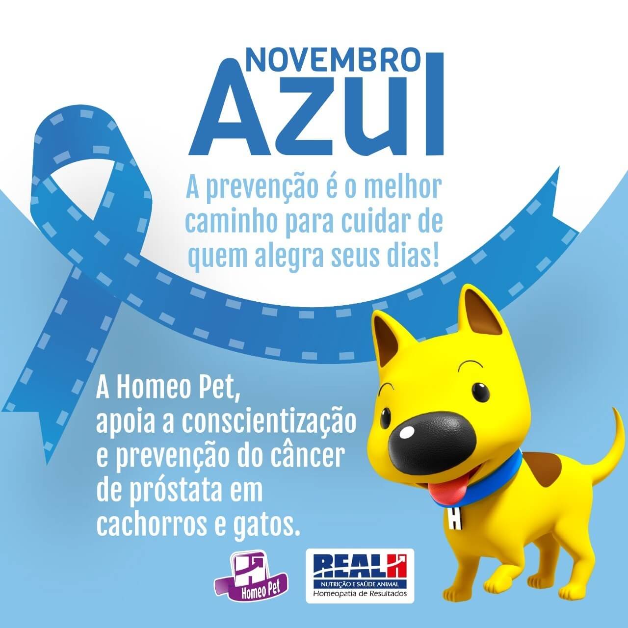 NOVEMBRO AZUL DOS PETS.