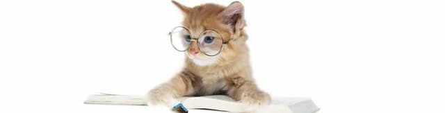 Aprendiz Privilegiado