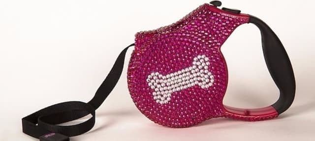 Saiba porque as guias retráteis não são uma boa opção para seu cão