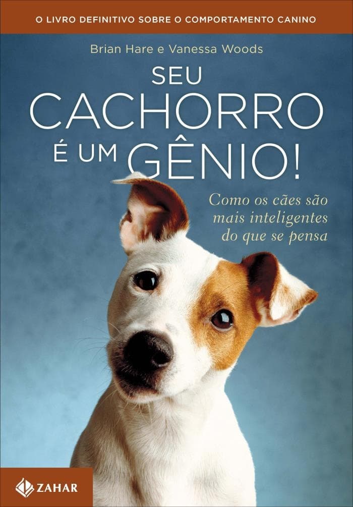 Seu cachorro é um gênio