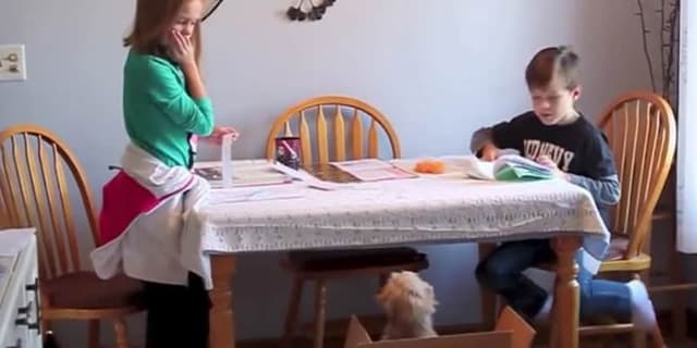 Veja reação adorável dessas crianças quando ganharam um pet