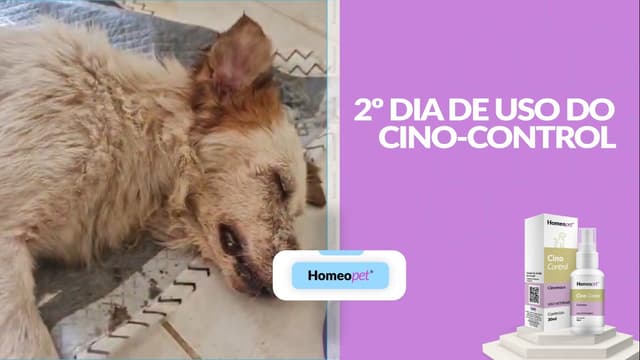 🐶Caso de Sucesso Homeopet Cino Control
